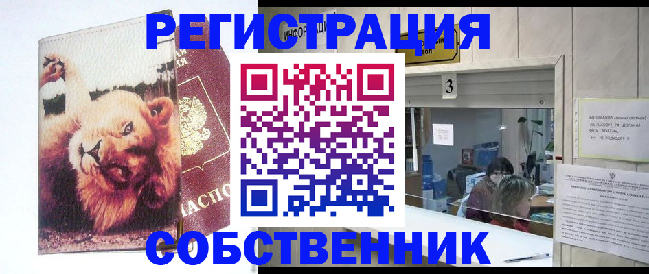 прописка поиск в Долгопрудном